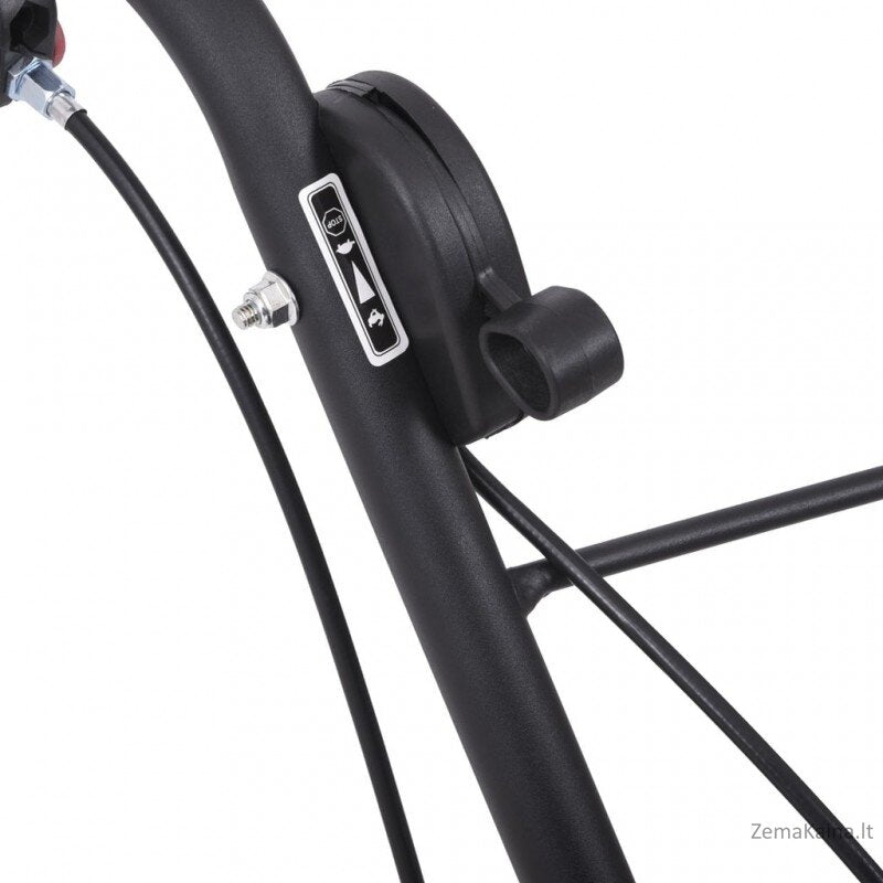 benzininis kultivatorius