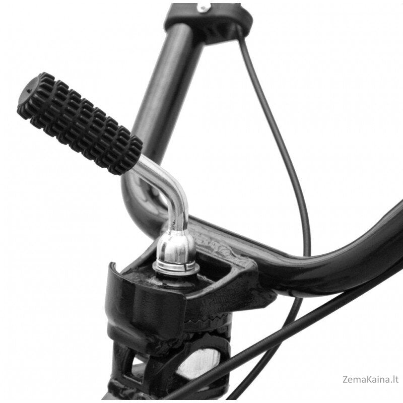 benzininis kultivatorius