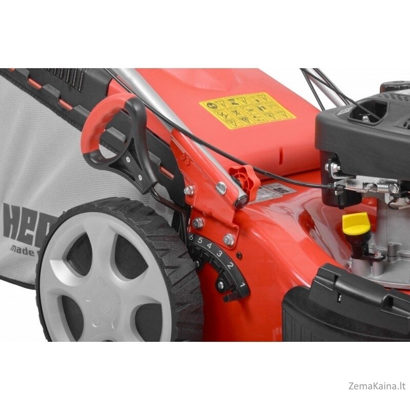 benzinine zoliapjove