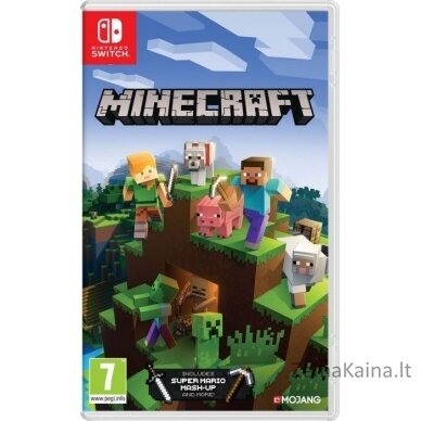 „Minecraft Nintendo Switch“