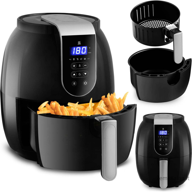Berdsen Fryer BD-651