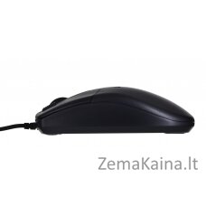 A4Tech OP-620D kompiuterio pelė USB A tipo Optinis 800 DPI Abiems rankoms