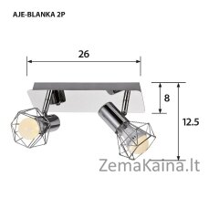 Activejet AJE-BLANKA 2P lubų šviestuvas Sidabras E14