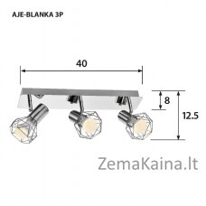 Activejet AJE-BLANKA 3P lubų šviestuvas Sidabras E14