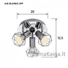 Activejet AJE-BLANKA 3PP lubų šviestuvas Sidabras E14