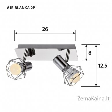 Activejet AJE-BLANKA 2P lubų šviestuvas Sidabras E14 1