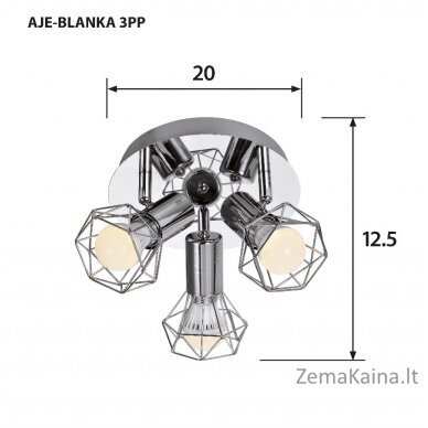 Activejet AJE-BLANKA 3PP lubų šviestuvas Sidabras E14 1