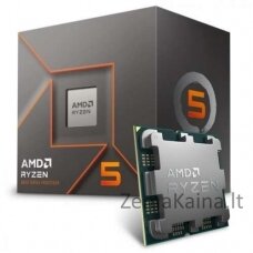 AMD Ryzen 5 8400F procesorius 4,2 GHz 16 MB L3 Dėžė