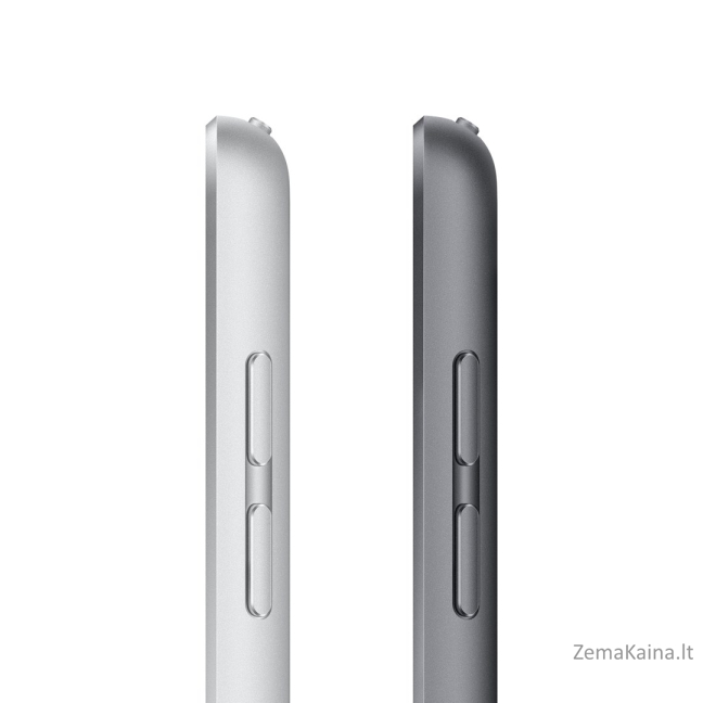 Apple iPad 64 GB 25,9 cm (10.2") Wi-Fi 5 (802.11ac) iPadOS 15 Pilka 4