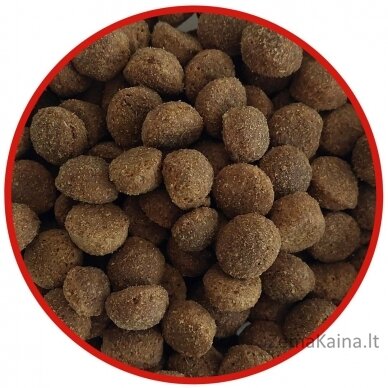 BIOFEED Tasty Life medium & large Beef - dry dog food - 15kg 1