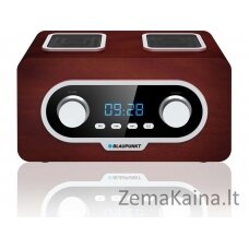 Blaupunkt PP5.2BR radijo imtuvas Nešiojama Ruda