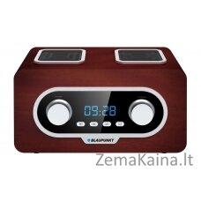 Blaupunkt PP5.2BR radijo imtuvas Nešiojama Ruda