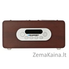 Blaupunkt PP5BR