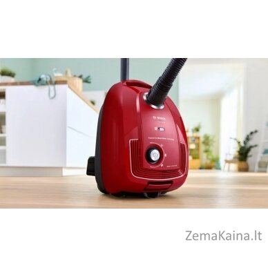 Bosch Serie 4 BGB38RD2 dulkių siurblys 4 L Cilindrinis dulkių siurblys Sausa 600 W Dulkių maišas 5