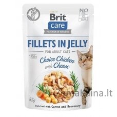 BRIT Care Fillets in Jelly Flavour Box - drėgno kačių ėdalo - 12 x 85g