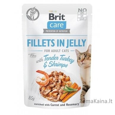 BRIT Care Fillets in Jelly Flavour Box - drėgno kačių ėdalo - 12 x 85g 4