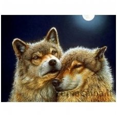 Deimantinė mozaika paveikslas - Pair of Wolves AZ-1200