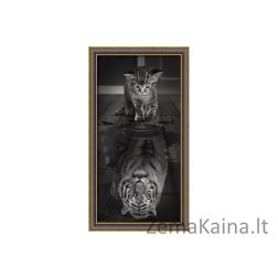 DEIMANTINES MOZAIKOS RINKINYS AM-1771 30 x 60 cm