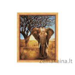 DEIMANTINES MOZAIKOS RINKINYS AZ-1783 40 x 50 cm