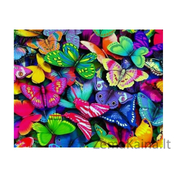 Deimantines mozaikos rinkinys - RAINBOW BUTTERFLIES WD057