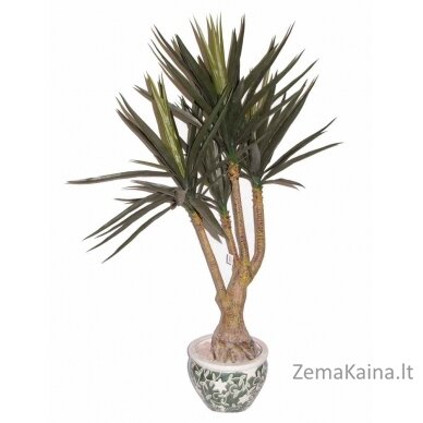 Dirbtinis augalas Dracena I