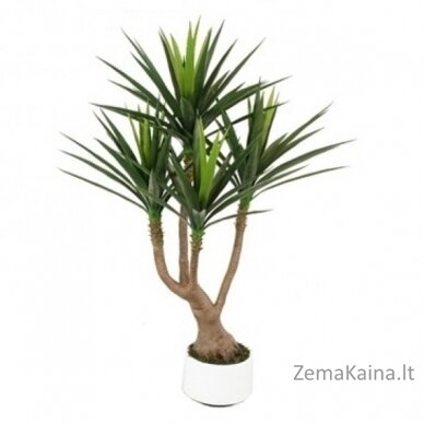 Dirbtinis augalas Dracena I 1