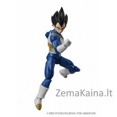 DRAGON BALL SUPER EVOLVE - VEGETA