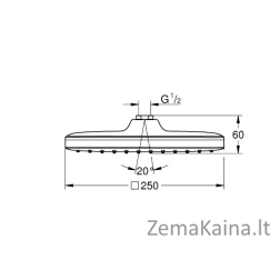 Dušo galva Grohe TEMPESTA 250 CUBE 26681000