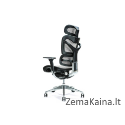 Ergonominė biuro kėdė ERGO 700 pilka