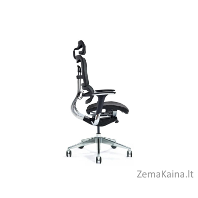 Ergonomiška biuro kėdė ERGO 800-M juoda