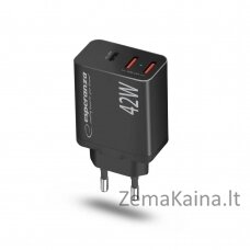 Esperanza EZC106K mains charger 42W Black