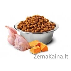 Farmina Pet Food N&D Pumpkin feline Adult 1,5kg sausas kačių maistas Suaugusiems Viščiukas