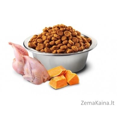 Farmina Pet Food N&D Pumpkin feline Adult 1,5kg sausas kačių maistas Suaugusiems Viščiukas 1