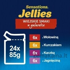 Felix Sensations Šalies skonių želė - 24x 85g