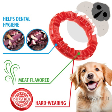 FERPLAST Smile ring S red - Dog toy 4