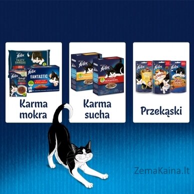 Friskies jautienos želė - drėgnas kačių maistas - 100 g 4