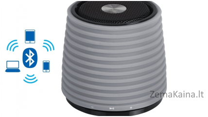Kaip išsirinkti Bluetooth ausines / kolonėles?