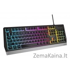 GENESIS Rhod 300 RGB klaviatūra Žaidimams USB QWERTY Anglų Juoda