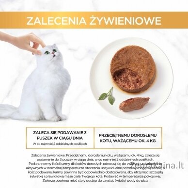 GOURMET Gold Rabbit - drėgnas kačių maistas - 85g 4