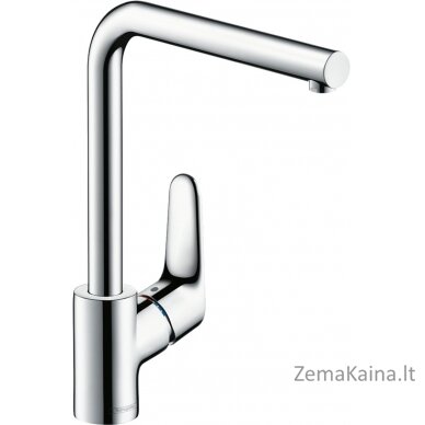 Hansgrohe Focus M41 31821000