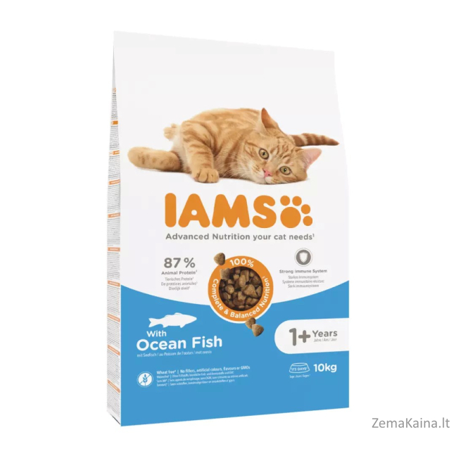 IAMS Advanced Nutrition Cat Adult Ocean Fish - sausas kačių maistas - 10 kg
