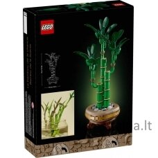 LEGO BOTANICALS 10344 Dracena sandera