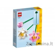 LEGO Flowers 40647 Kwiaty lotosu