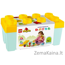 LEGO DUPLO 10984 EKOLOGIŠKAS SODAS
