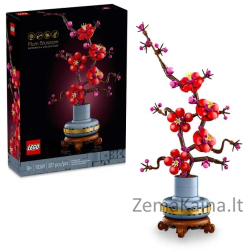 LEGO Icons 10369 Botanicals