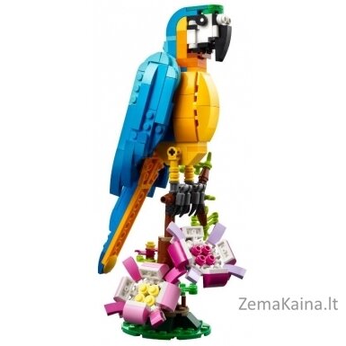 LEGO CREATOR 31136 EKZOTINIS PARROTAS 2