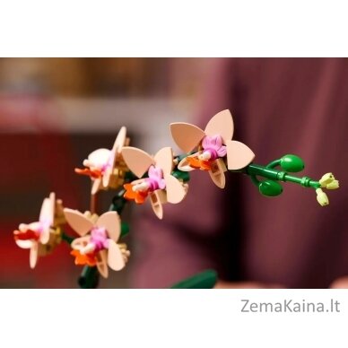 LEGO BOTANICALS 10343 Mała orchidea 6