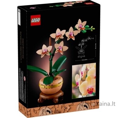 LEGO BOTANICALS 10343 Mała orchidea 1