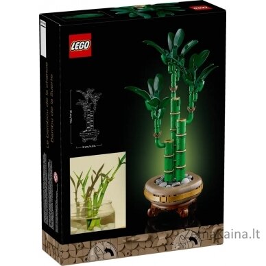 LEGO BOTANICALS 10344 Dracena sandera 1