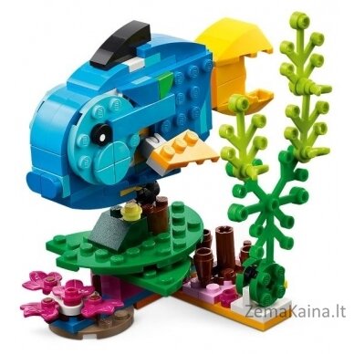 LEGO CREATOR 31136 EKZOTINIS PARROTAS 5